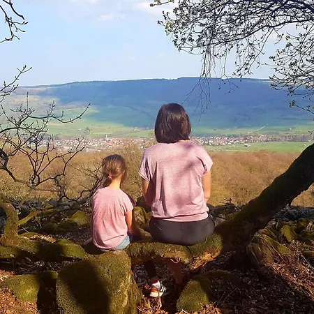 Pusteblume شقة Ehrenberg (Hessen)