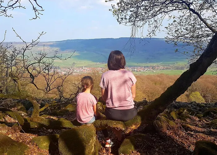 Pusteblume Апартаменты Ehrenberg (Hessen)