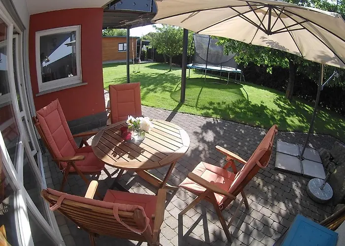 Pusteblume * Ehrenberg (Hessen)