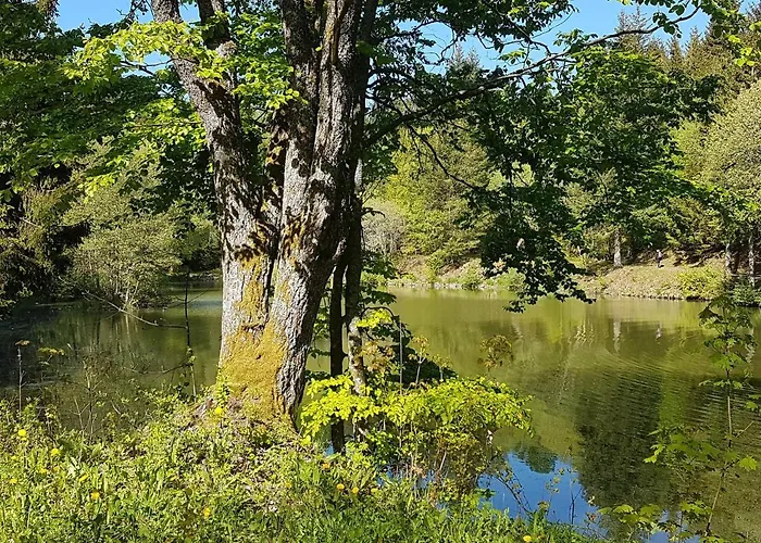 Pusteblume Ehrenberg (Hessen)